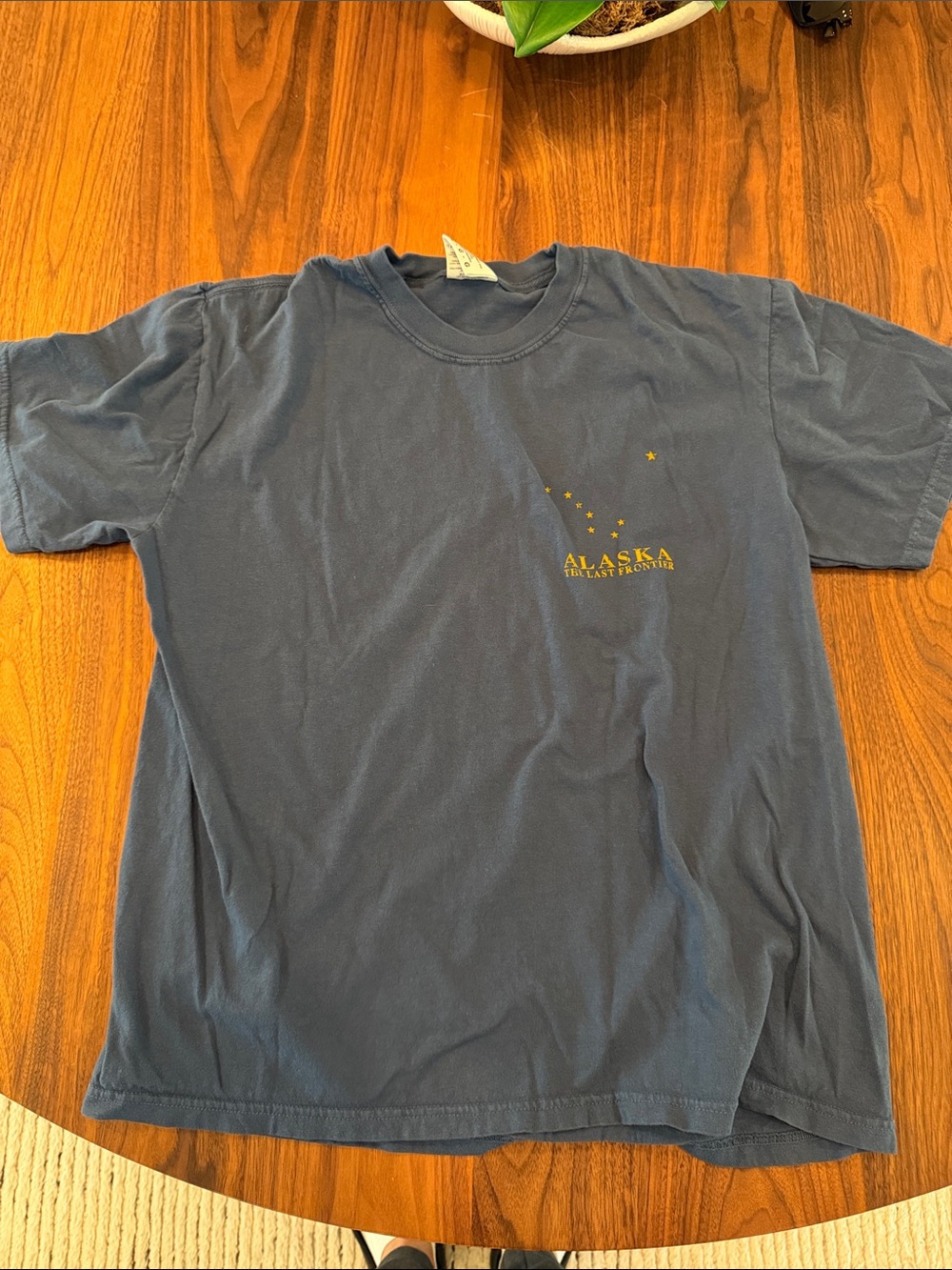 Comfort Colors Blue Alaska Short Sleeve Tee with Gold Print